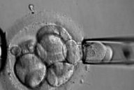 威海市的试管婴儿费用多少钱？附试管婴儿全部过程！