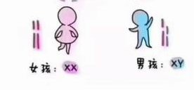 鲜胚移植后饮食注意事项整理，少食多餐原则请严格遵守