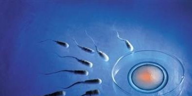 湖南正规医院做三代试管婴儿单周期费用大约是多少？流程步骤有哪些？